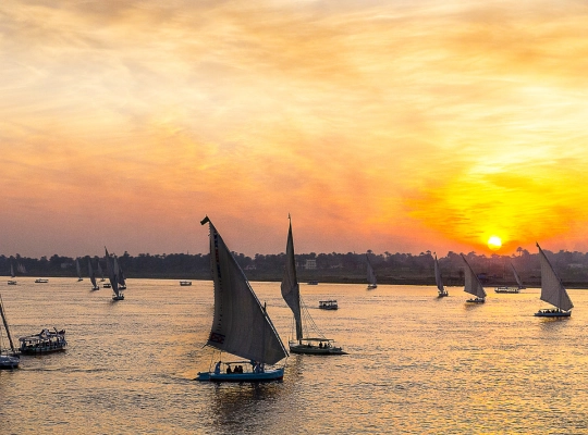 Dinner Cruise on the Nile